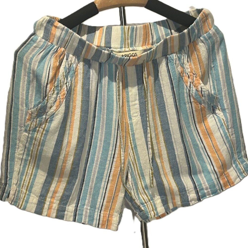 Briggs Linen Blend Shorts Size Small Coral, Blue and White Stripe